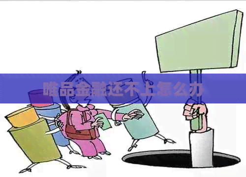 唯品金融还不上怎么办