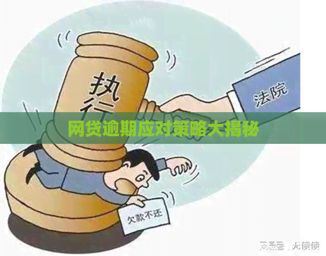 网贷逾期应对策略大揭秘