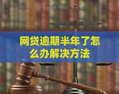 网贷逾期半年了怎么办解决方法
