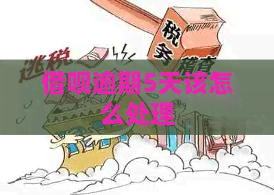 网贷逾期5天该怎么处理