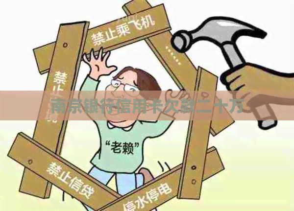 南京银行信用卡欠款二十万