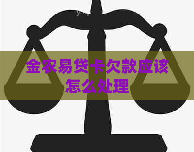 金农易贷卡欠款应该怎么处理