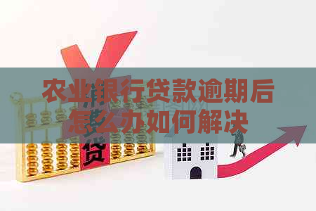 农业银行贷款逾期后怎么办如何解决