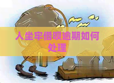 人坐牢网贷逾期如何处理
