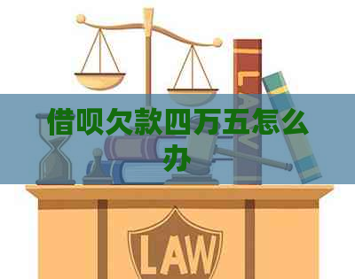 网贷欠款四万五怎么办