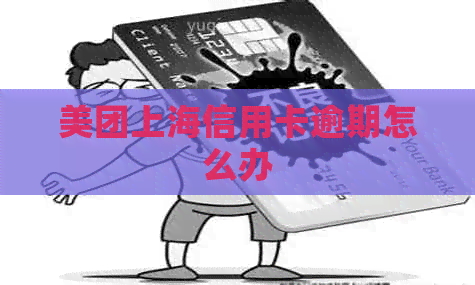 美团上海信用卡逾期怎么办