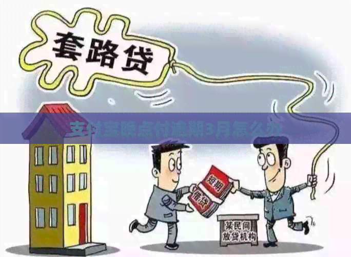 支付宝晚点付逾期3月怎么办