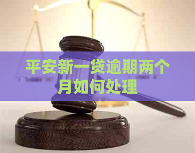 平安新一贷逾期两个月如何处理