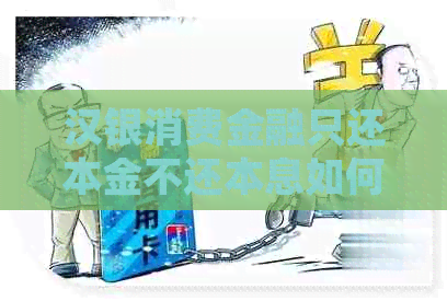 汉银消费金融只还本金不还本息如何处理