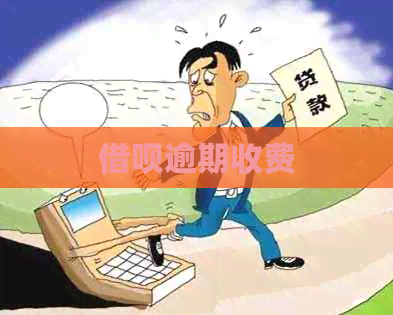 网贷逾期收费