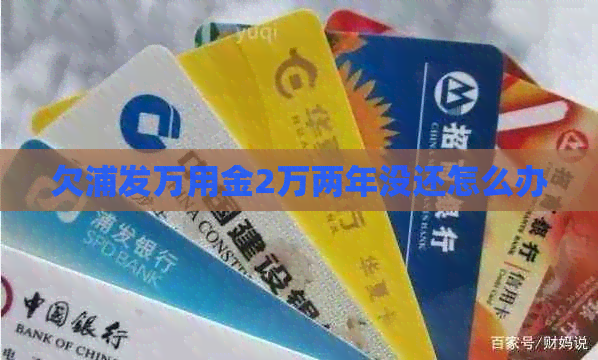 欠浦发万用金2万两年没还怎么办