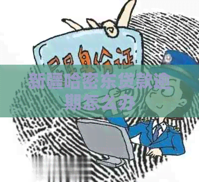 新疆哈密东贷款逾期怎么办