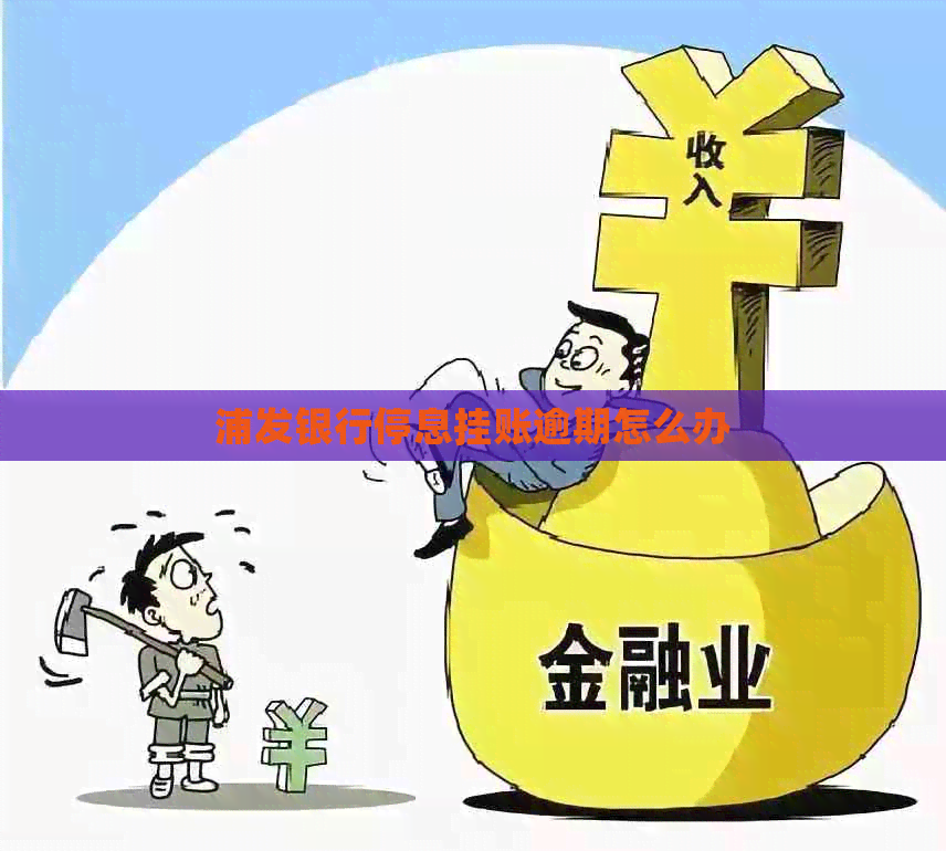 浦发银行停息挂账逾期怎么办
