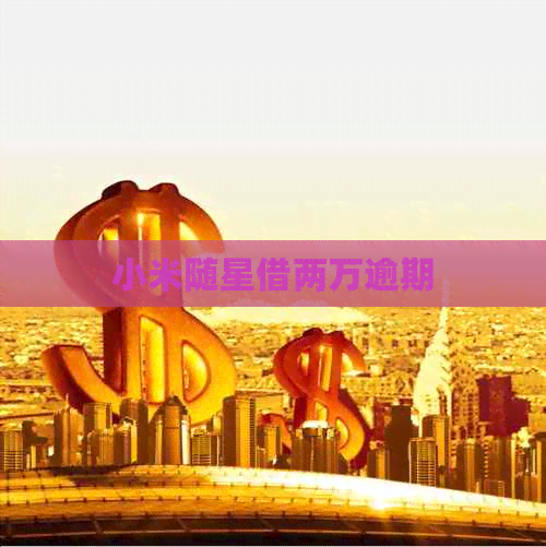 小米随星借两万逾期