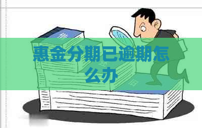 惠金分期已逾期怎么办
