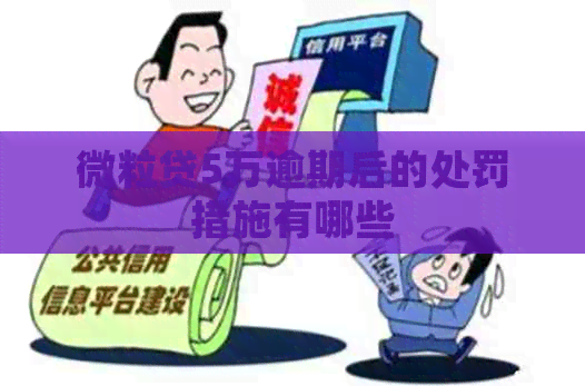 微粒贷5万逾期后的处罚措施有哪些