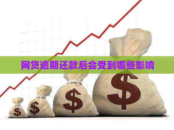 网贷逾期还款后会受到哪些影响