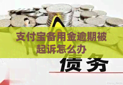 支付宝备用金逾期被起诉怎么办