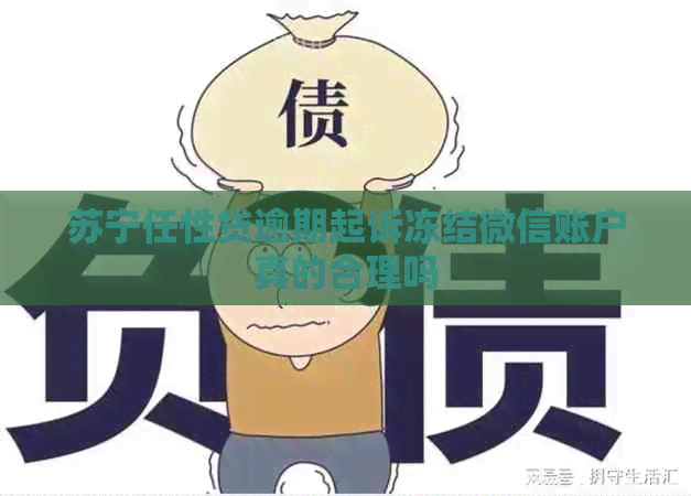 苏宁任性贷逾期起诉冻结微信账户真的合理吗