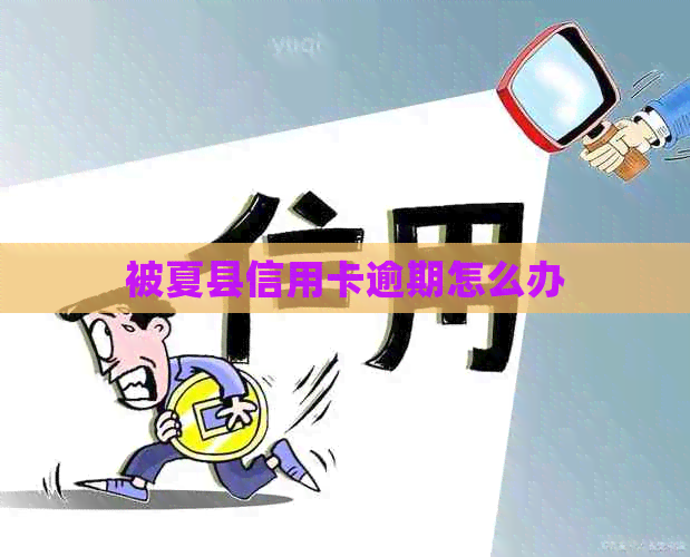 被夏县信用卡逾期怎么办