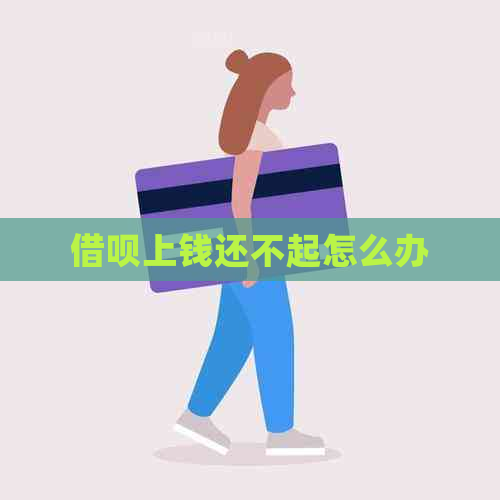 网贷上钱还不起怎么办
