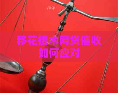 移花接木网贷如何应对