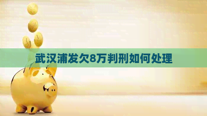 武汉浦发欠8万判刑如何处理