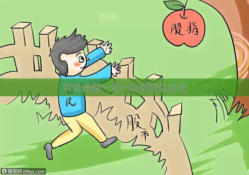 网贷逾期一年一次性怎么给还