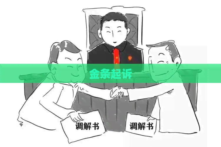 金条起诉