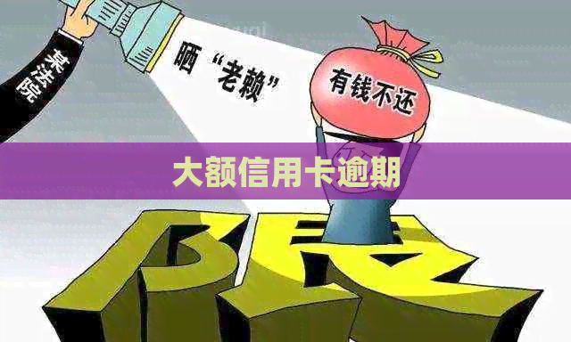 大额信用卡逾期