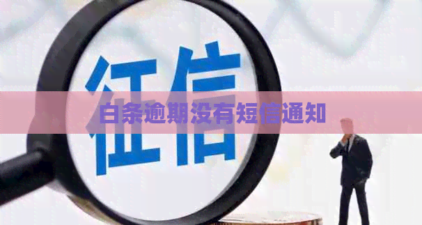 白条逾期没有短信通知