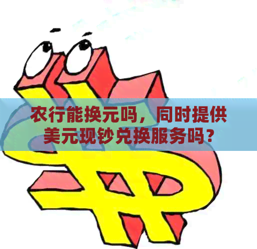 农行能换元吗，同时提供美元现钞兑换服务吗？
