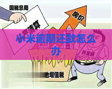 小米逾期还款怎么办