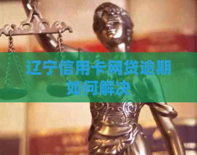 辽宁信用卡网贷逾期如何解决