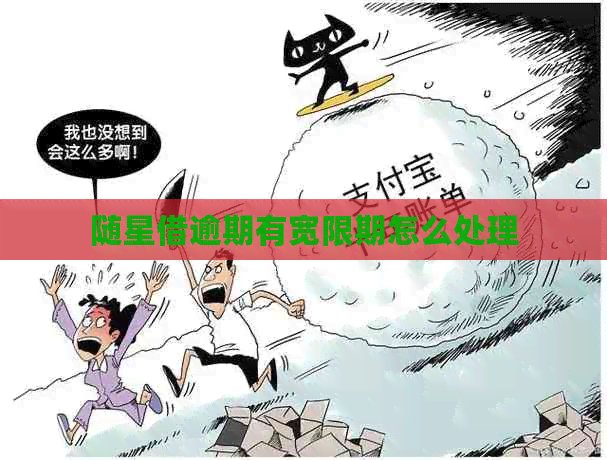 随星借逾期有宽限期怎么处理