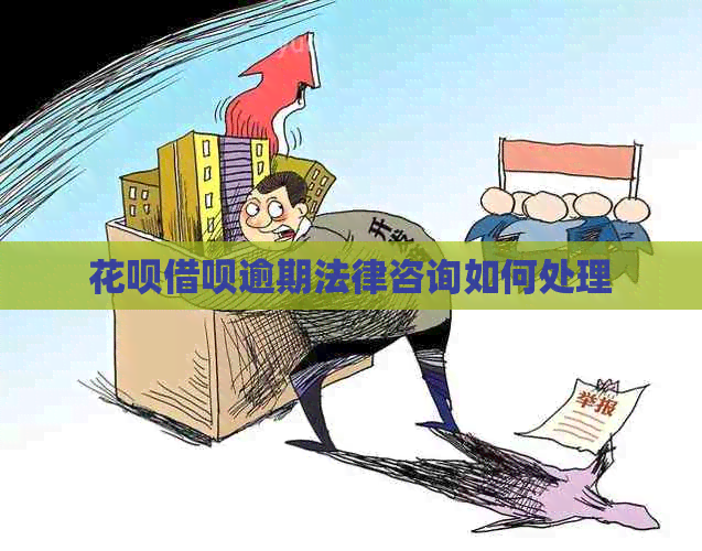 信用卡网贷逾期法律咨询如何处理