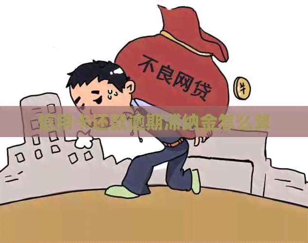 信用卡还款逾期滞纳金怎么算