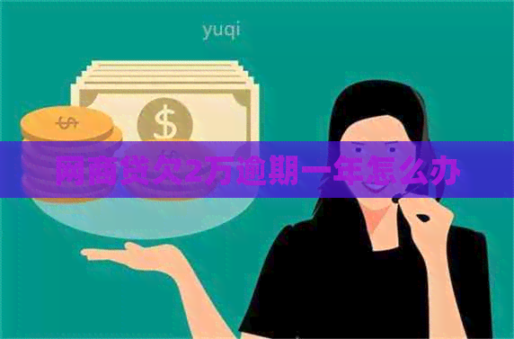 网贷欠2万逾期一年怎么办
