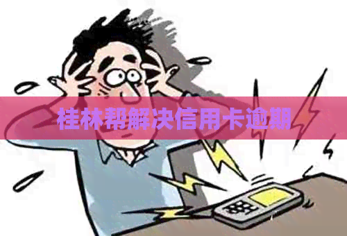 桂林帮解决信用卡逾期
