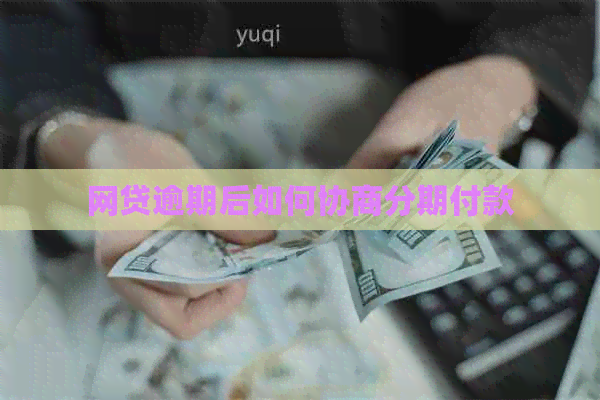 网贷逾期后如何协商分期付款