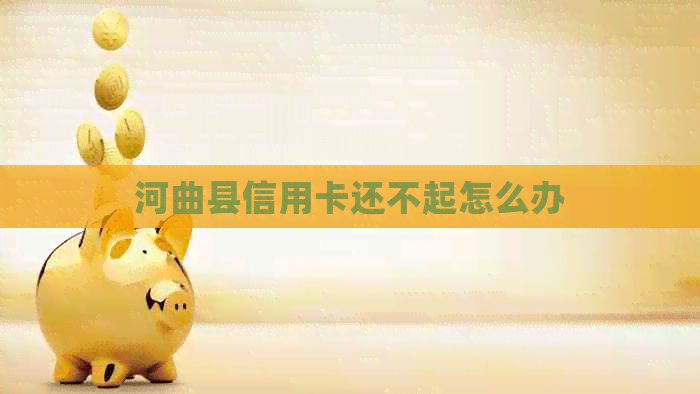 河曲县信用卡还不起怎么办