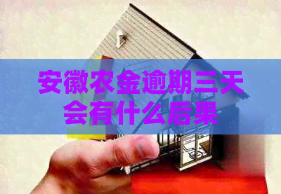安徽农金逾期三天会有什么后果