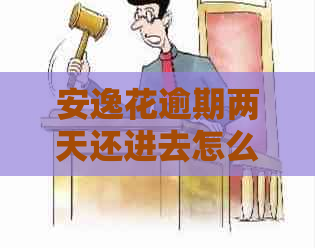 安逸花逾期两天还进去怎么处理