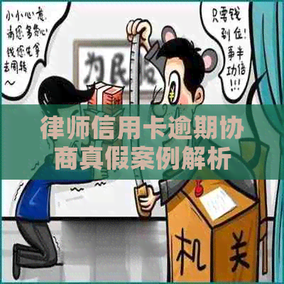 律师信用卡逾期协商真假案例解析