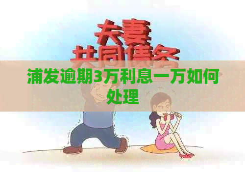 浦发逾期3万利息一万如何处理