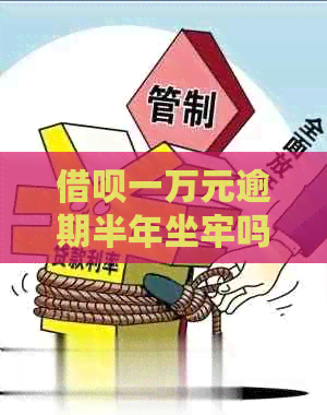 网贷一万元逾期半年坐牢吗该怎么办