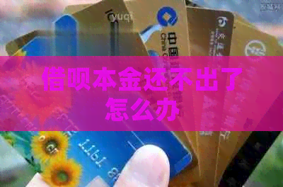网贷本金还不出了怎么办
