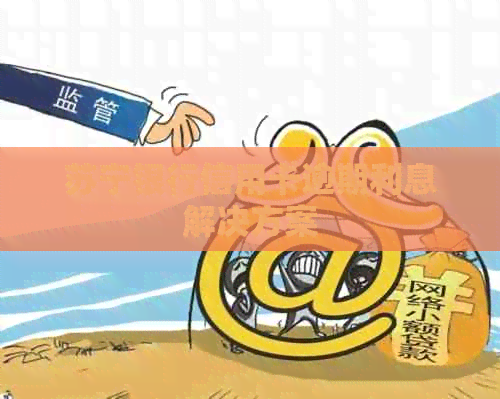 苏宁银行信用卡逾期利息解决方案