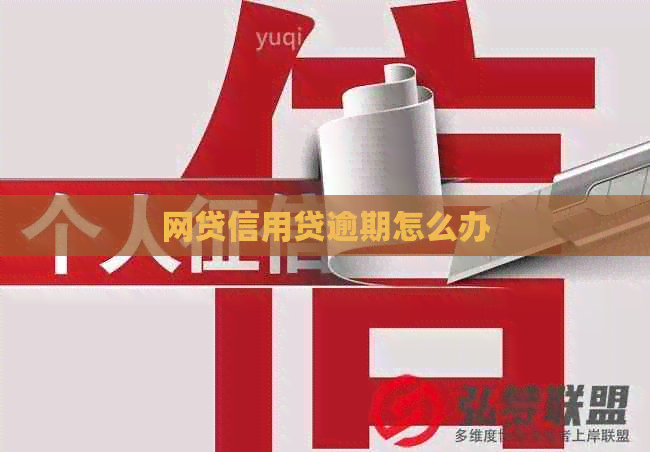 网贷信用贷逾期怎么办