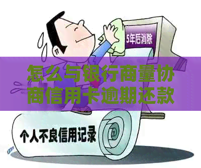 怎么与银行商量协商信用卡逾期还款事宜？